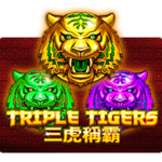 tripletigers-1